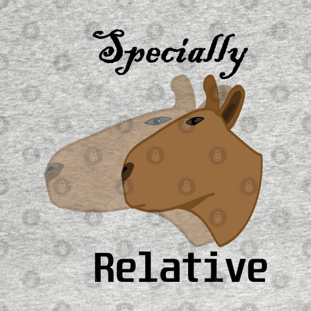 Special relativity by foolorm